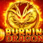 9 Burning Dragons