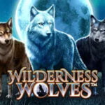 50 Free Spins on ‘Wilderness Wolves’ at Miami Club Casino bonus code