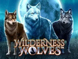 40 Free Spins on ‘Wilderness Wolves’ at Miami Club Casino