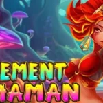Element Shaman