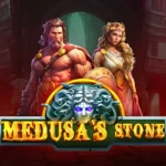 Medusa’s Stone