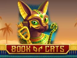 Claim Free Spins at Boho Casino!