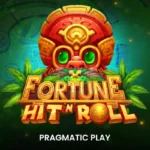 Fortune Hit’n Roll