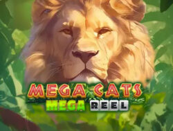 5 NDB Spins at Bella Vegas