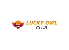 lucky owl
