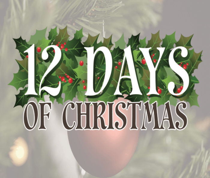 12 days of Christmas – the best festive online gambling tips