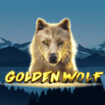 12 Free Spins on ‘Golden Wolf’ at Black Lotus bonus code