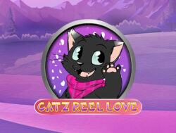 5 Spins at Bingo Village