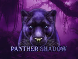 50 Free Spins on ‘Panther Shadow’ at Bingo Village
