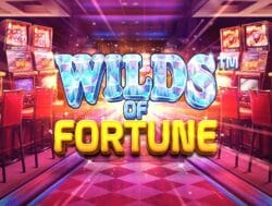 Primebetz Casino Delivers 50 Free Spins on Wilds of Fortune!
