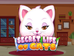 175 Free Spins on ‘The Secret Life of Cats’ at Drake Casino