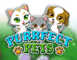 200 Free Spins on ‘Purrfect Pets’ at Spin Dinero