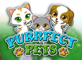 200 Free Spins on ‘Purrfect Pets’ at Spin Dinero