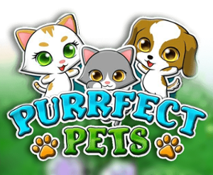 200 Free Spins on ‘Purrfect Pets’ at Spin Dinero