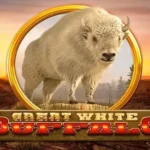 Great White Buffalo