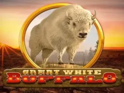 50 Free Spins on ‘Great White Buffalo’ at Casino Grand Bay