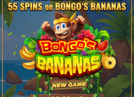 spin dimension promo