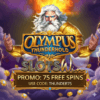 SlotsWin promo