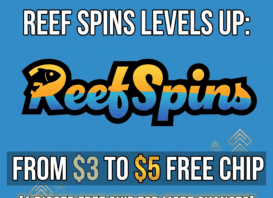 reef spins