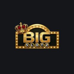 75 Free Spins on ‘Book of Miracle’ at Big Slotz logo
