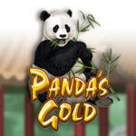 200 Free Spins on ‘Panda’s Gold’ at Betty Wins bonus code