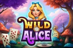 50 Free Spins on ‘Wild Alice’ at Miami Club logo